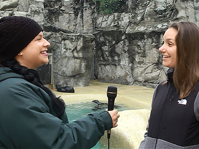 Video interviews with zoo visitors